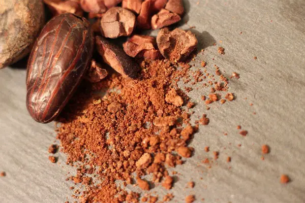 cacao semillas