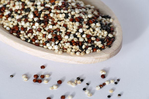 granos de quinoa roja, blanca y negros